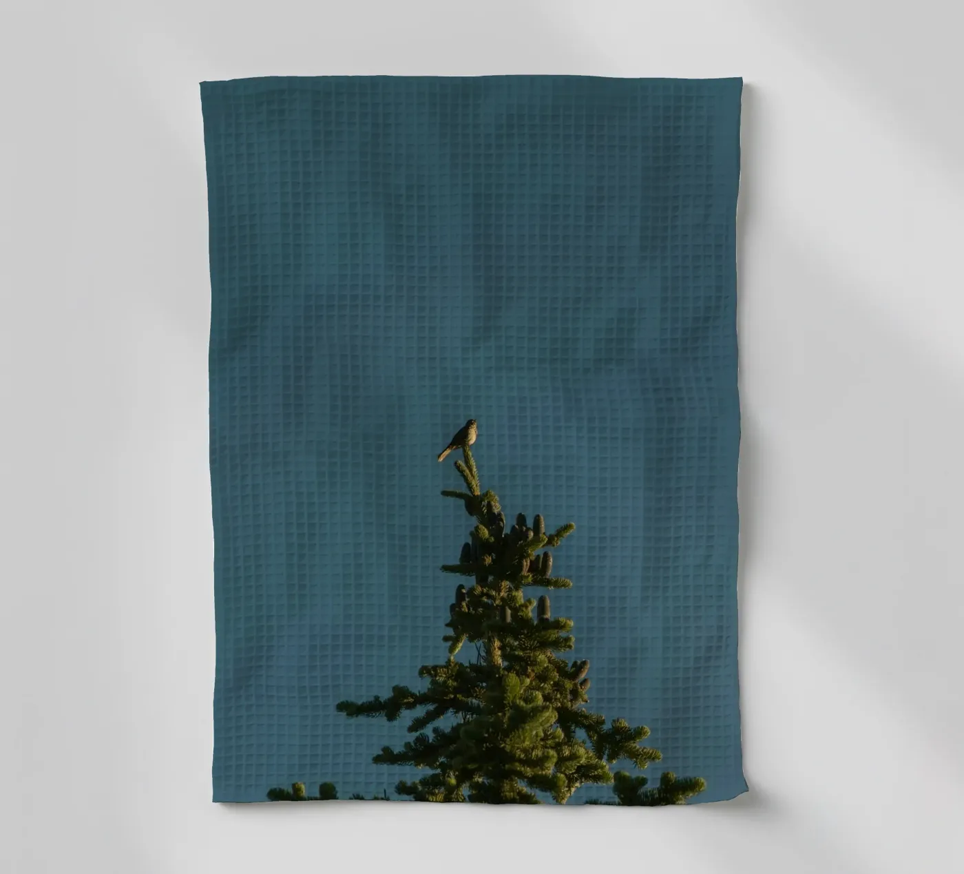 pin torchon de Earthly Visions