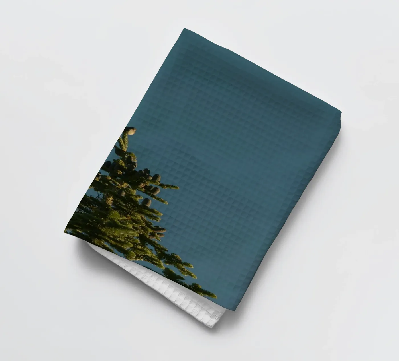 pin torchon de Earthly Visions