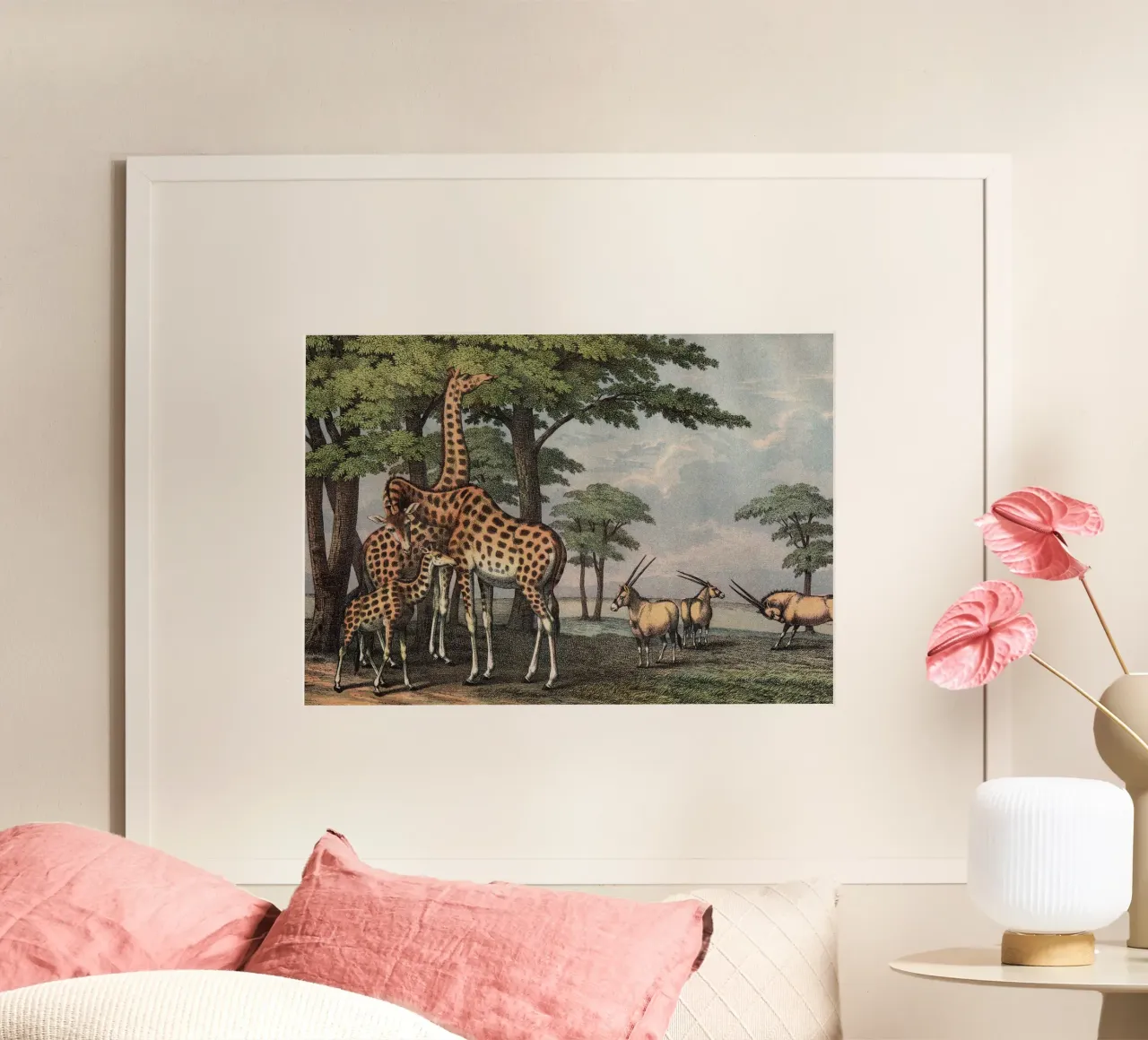 Vintage Kolb 5 Tafel 36 Giraffe poster da Vintage Print Collection