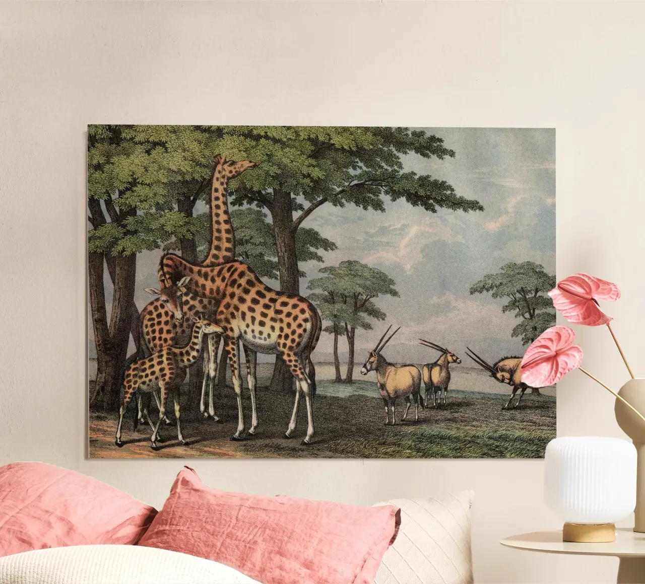 Vintage Kolb 5 Tafel 36 Giraffe poster da Vintage Print Collection