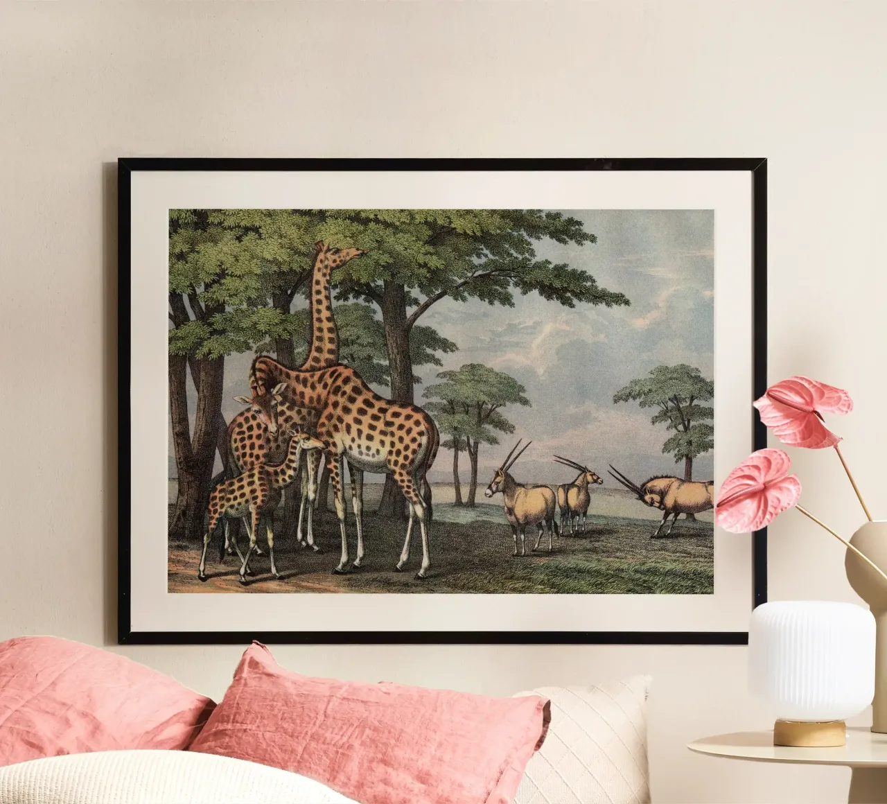Vintage Kolb 5 Tafel 36 Giraffe poster da Vintage Print Collection