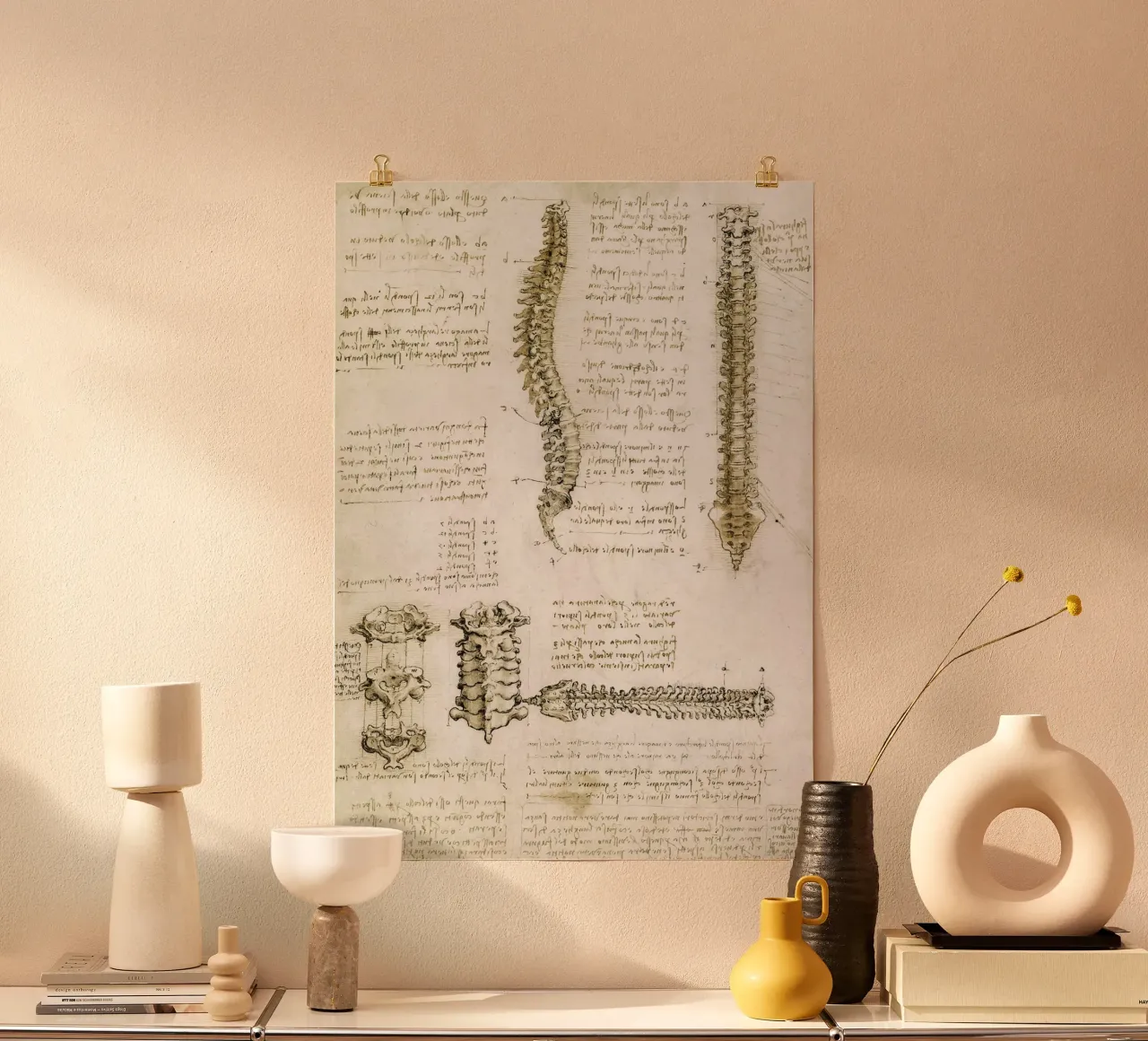 The Spine by Leonardo da Vinci poster da James McIntosh