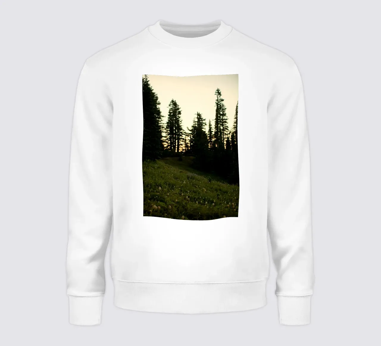 una foresta di pini felpa da Earthly Visions