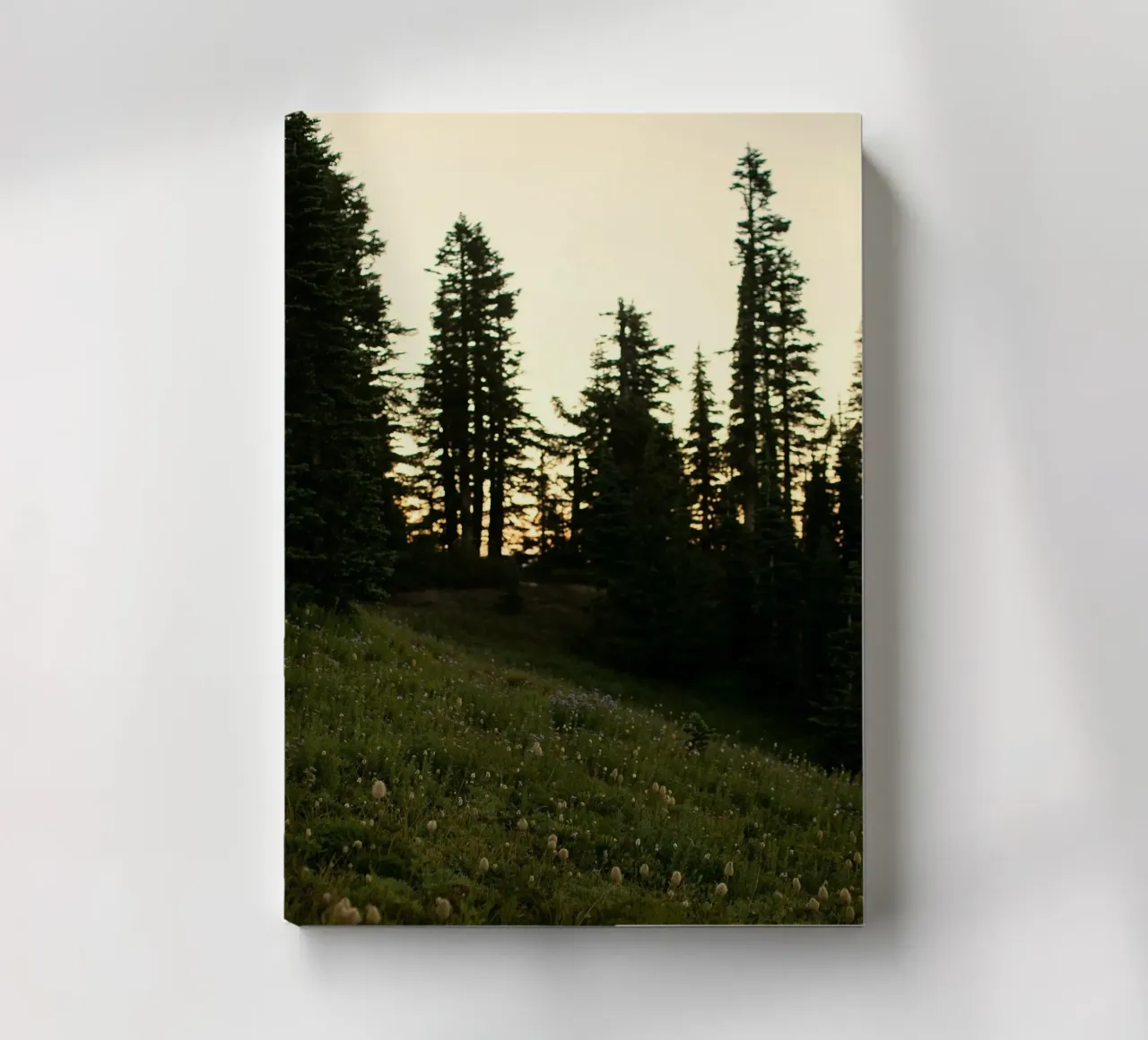 a forest of pines notebook by Earthly Visions