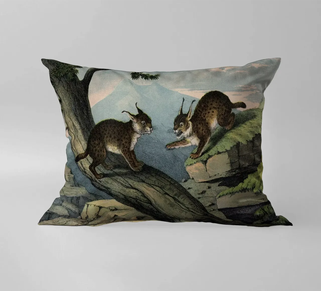 Vintage Kolb 6 Tafel 1 Luchs cuscino da Vintage Print Collection