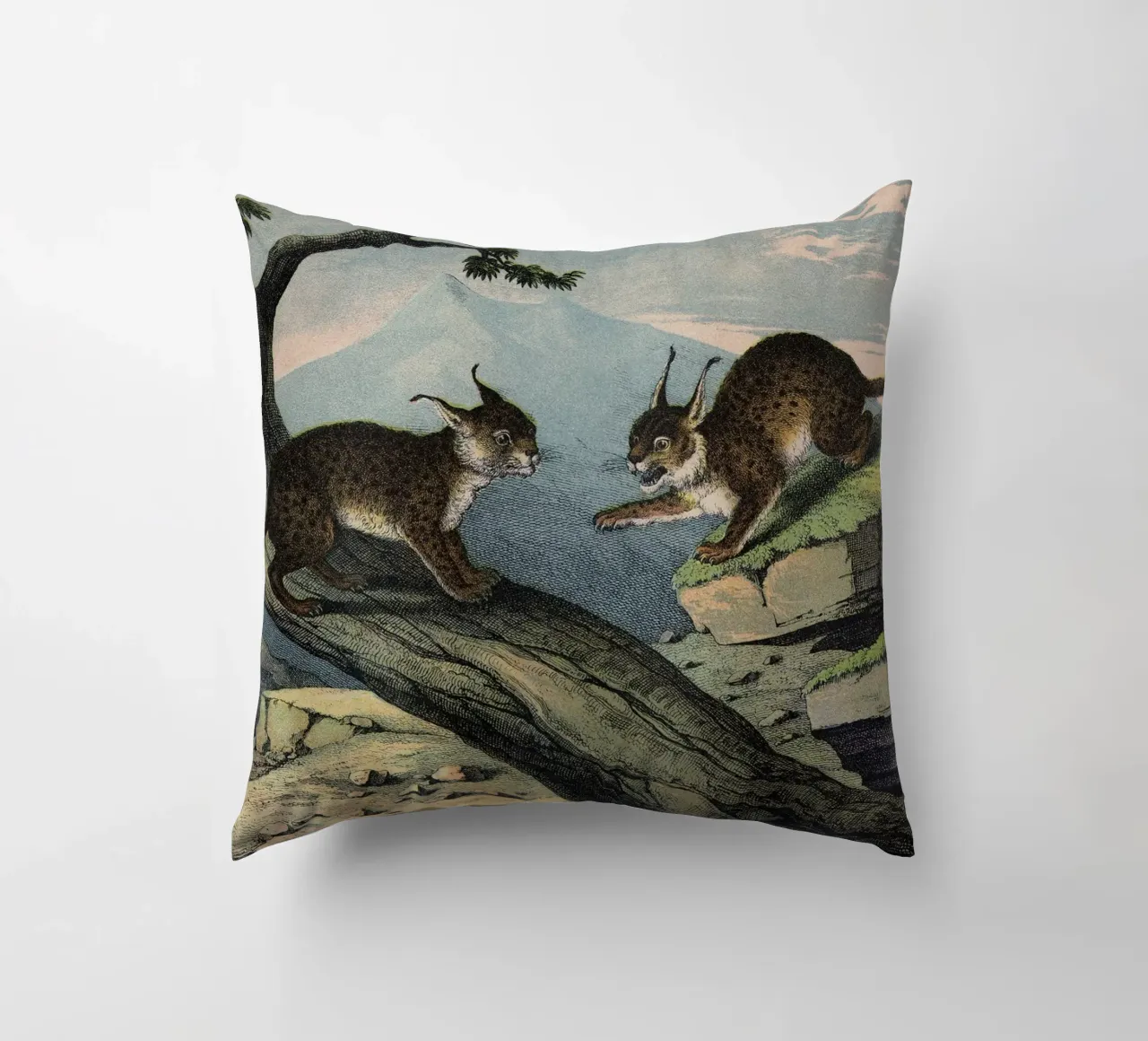 Vintage Kolb 6 Tafel 1 Luchs cuscino da Vintage Print Collection