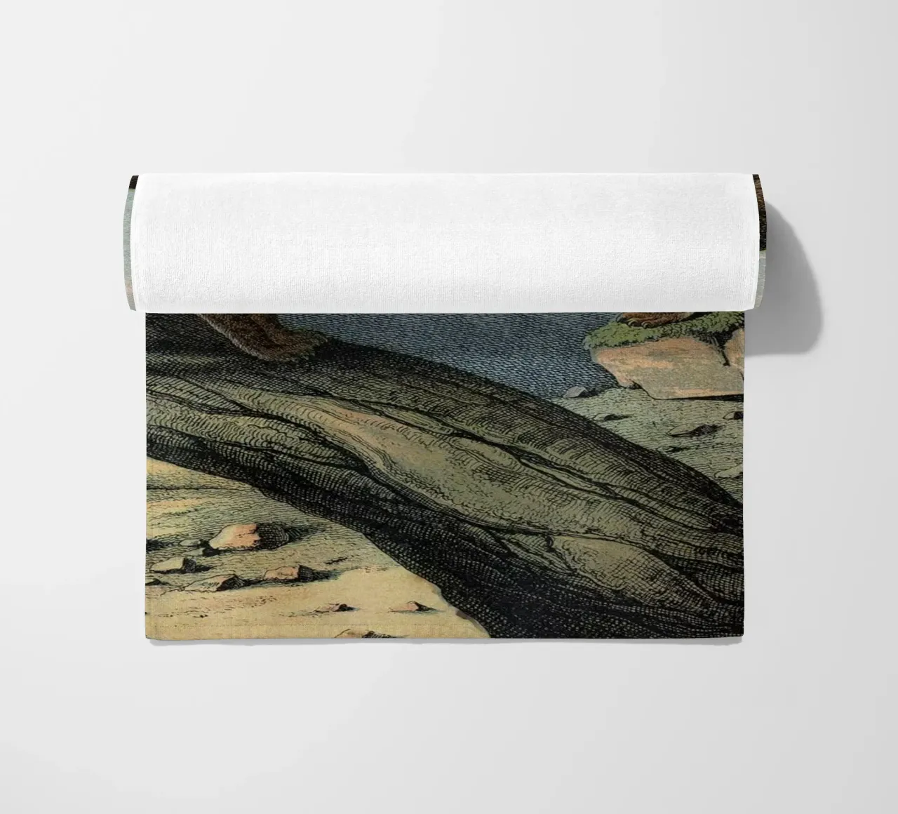 Vintage Kolb 6 Tafel 1 Luchs telo mare da Vintage Print Collection