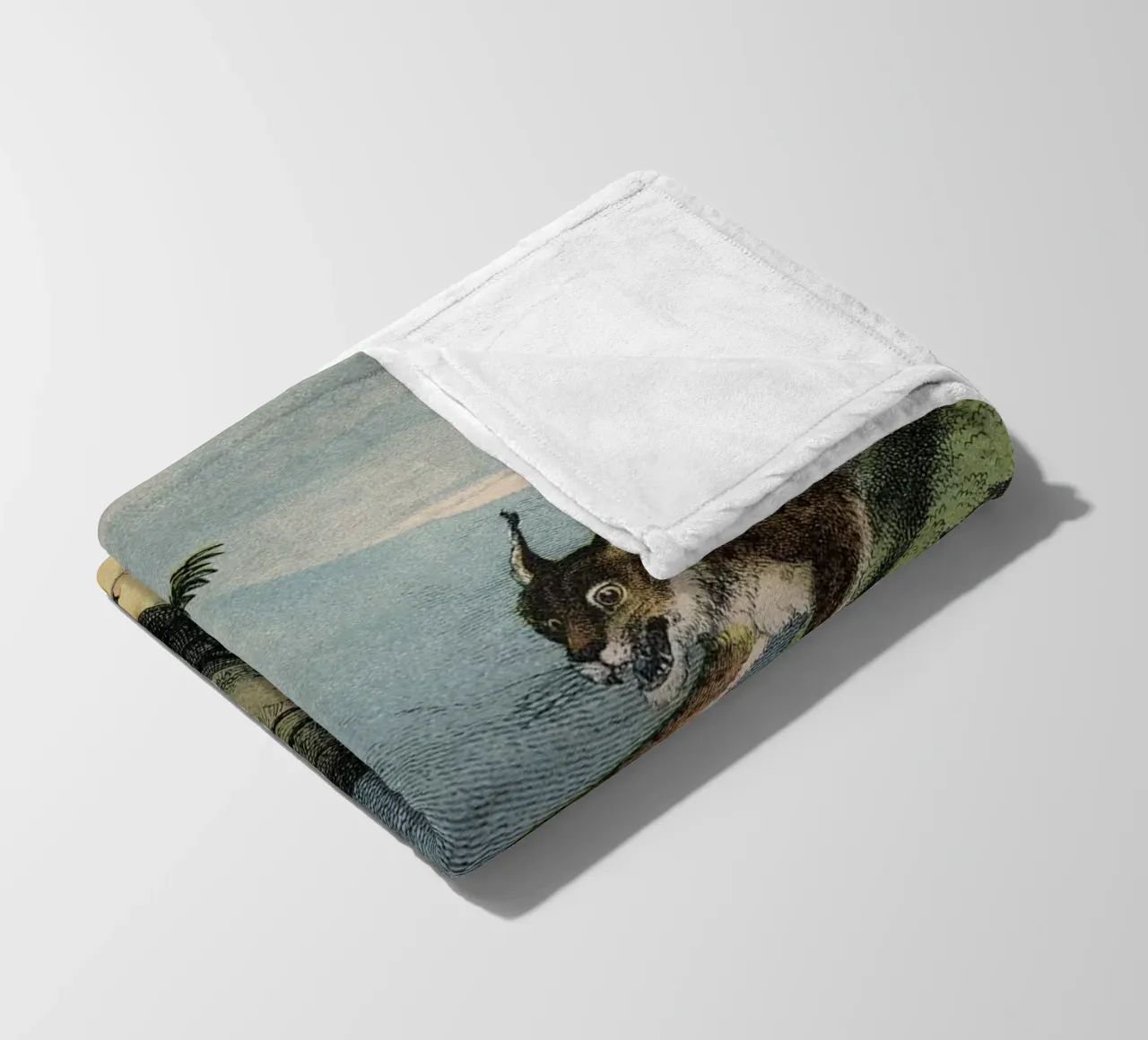 Vintage Kolb 6 Tafel 1 Luchs coperta in pile da Vintage Print Collection