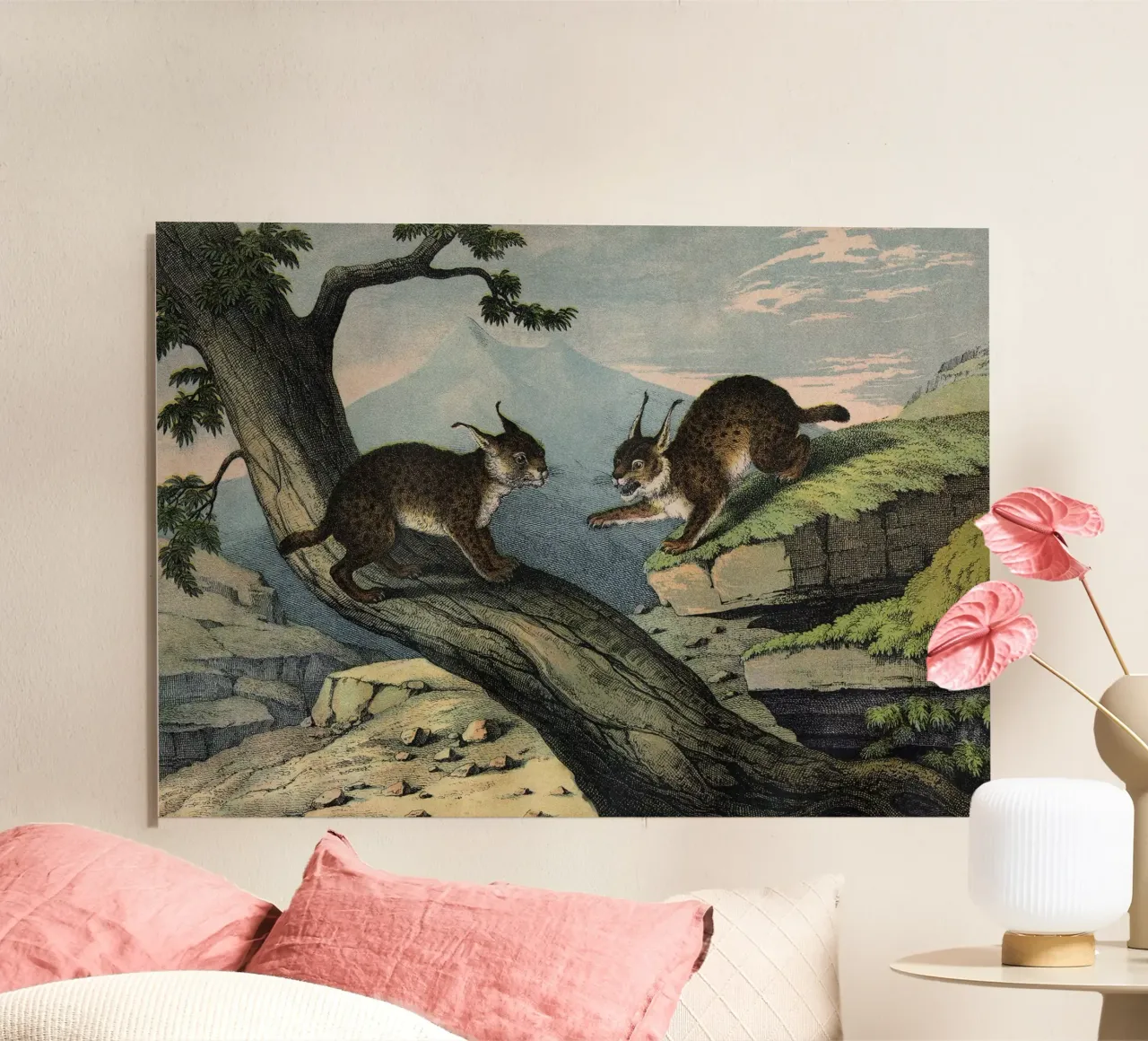 Vintage Kolb 6 Tafel 1 Luchs pannello forex da Vintage Print Collection