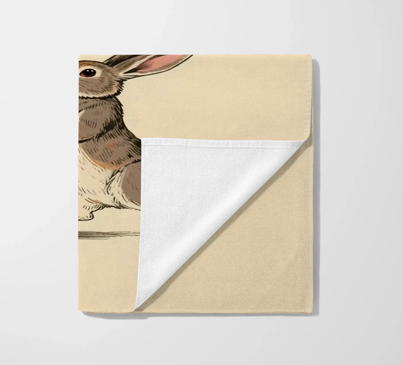 Rabbit Balloons telo mare da knowledge