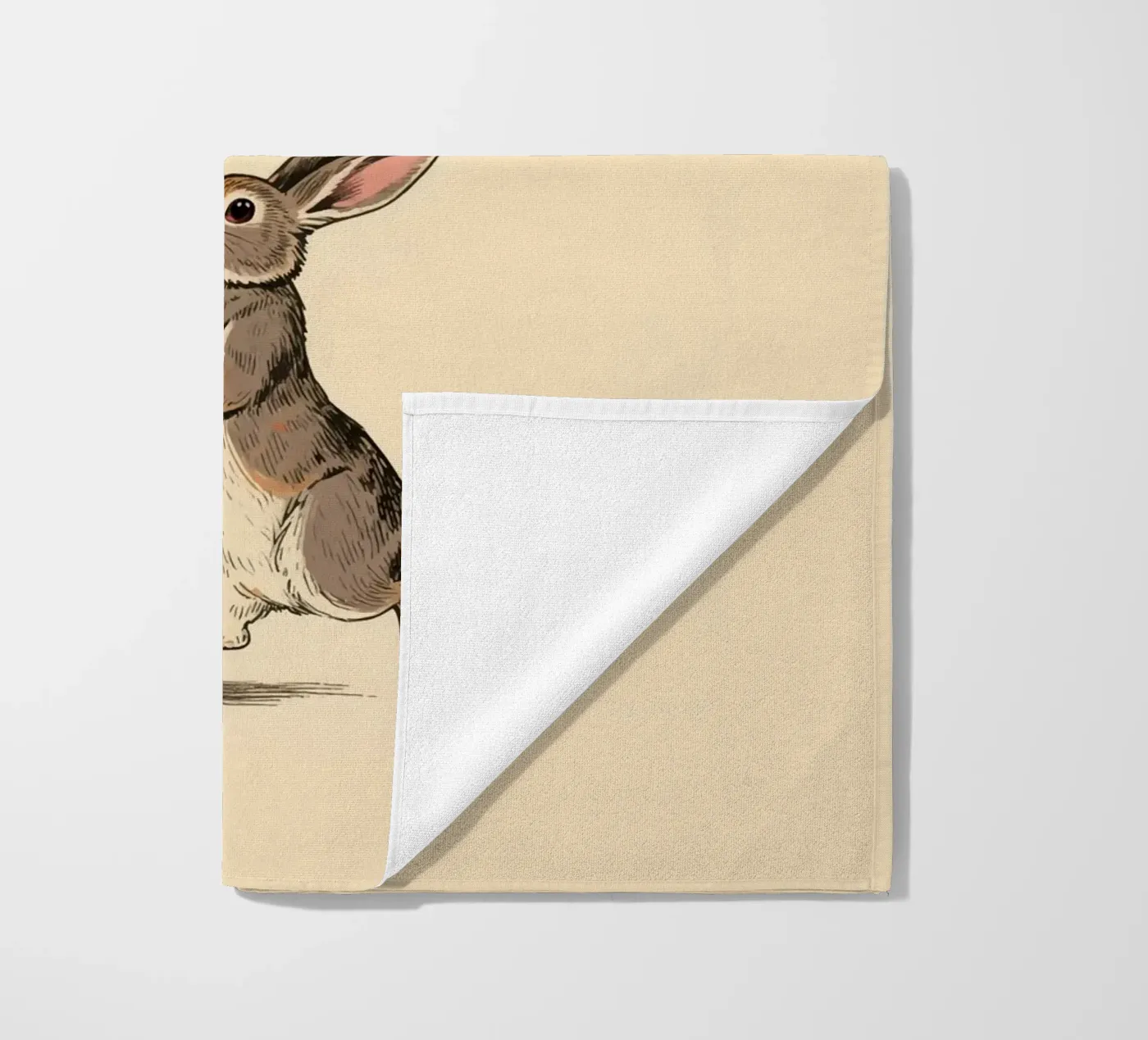 Rabbit Balloons telo mare da knowledge