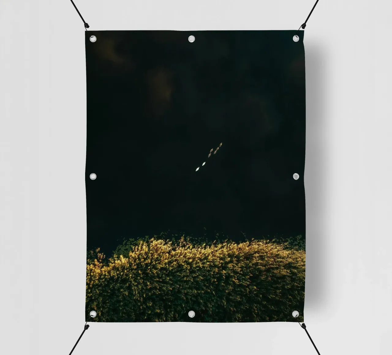 cespuglio di fiori telo in pvc da Earthly Visions