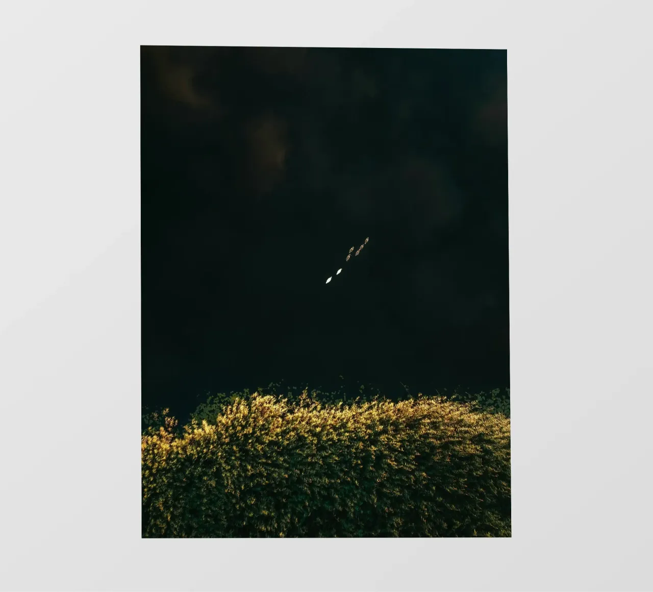 cespuglio di fiori telo in pvc da Earthly Visions
