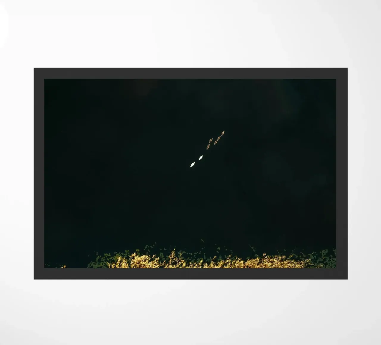 cespuglio di fiori zerbino da Earthly Visions