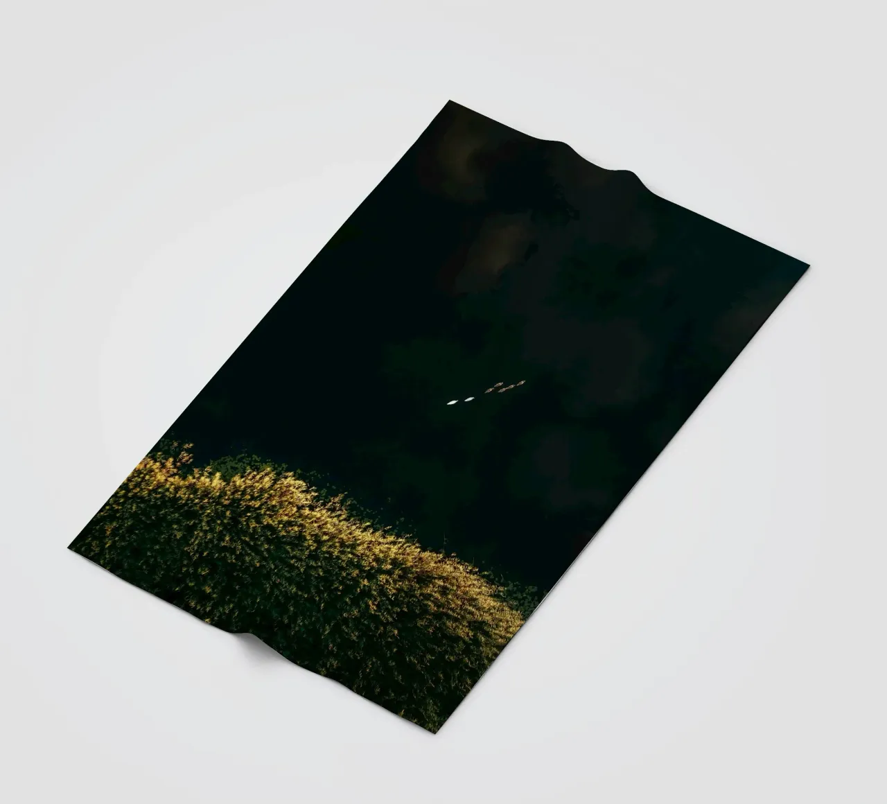 cespuglio di fiori coperta in pile da Earthly Visions