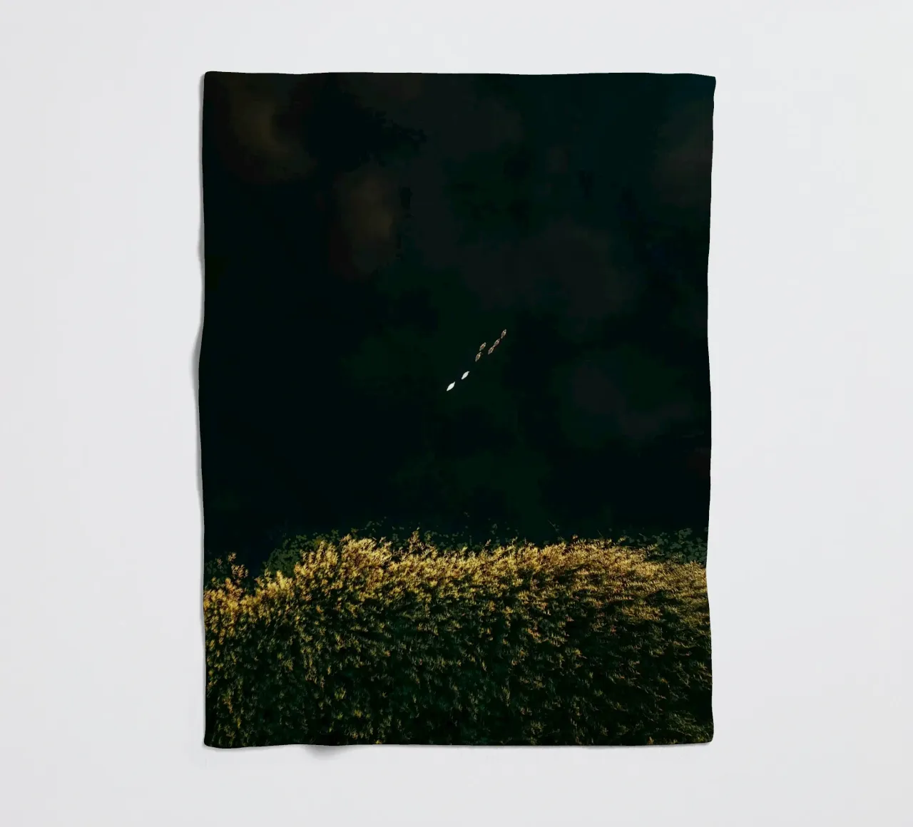 cespuglio di fiori coperta in pile da Earthly Visions