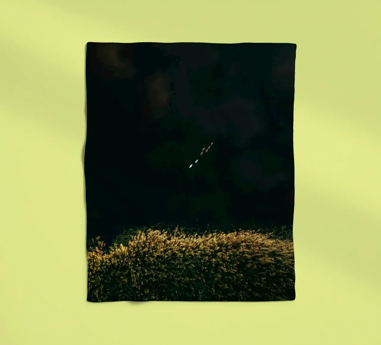 cespuglio di fiori coperta in pile da Earthly Visions