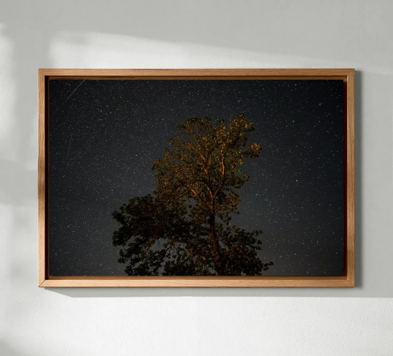 Tree shadow at night canvas with Floater frame by Earthly Visions