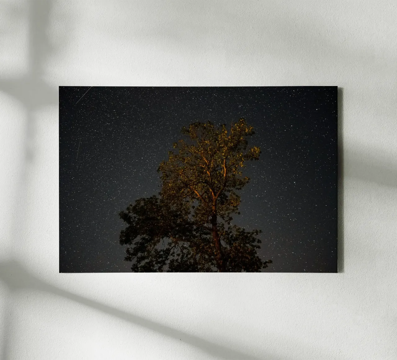 Tree shadow at night canvas with Floater frame by Earthly Visions