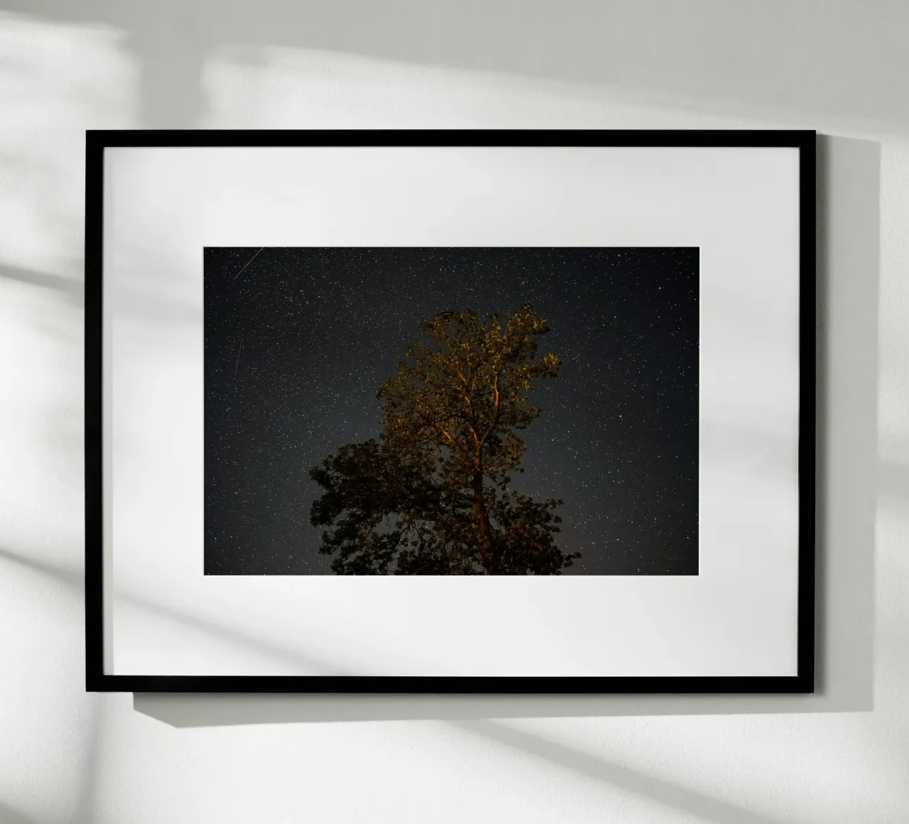 L'ombra dell'albero di notte poster da Earthly Visions