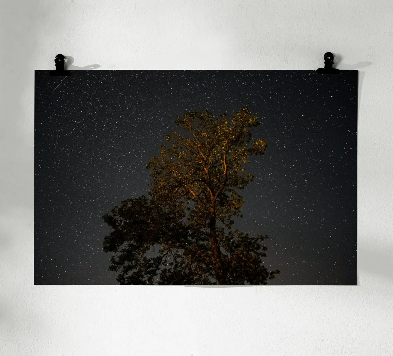 L'ombra dell'albero di notte poster da Earthly Visions