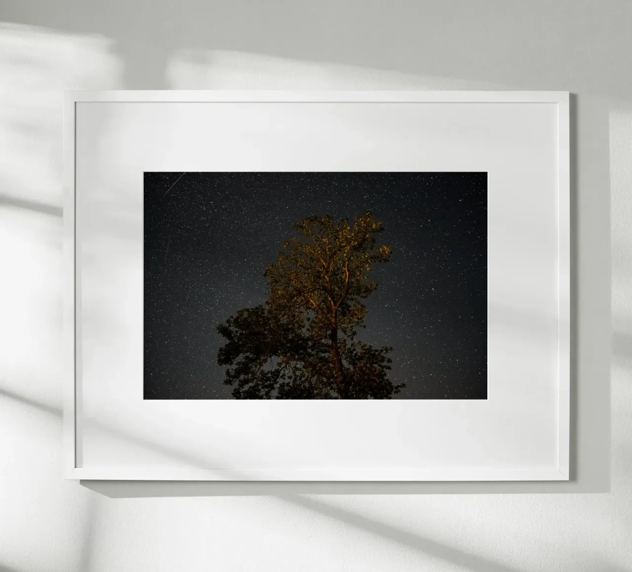 L'ombra dell'albero di notte poster da Earthly Visions
