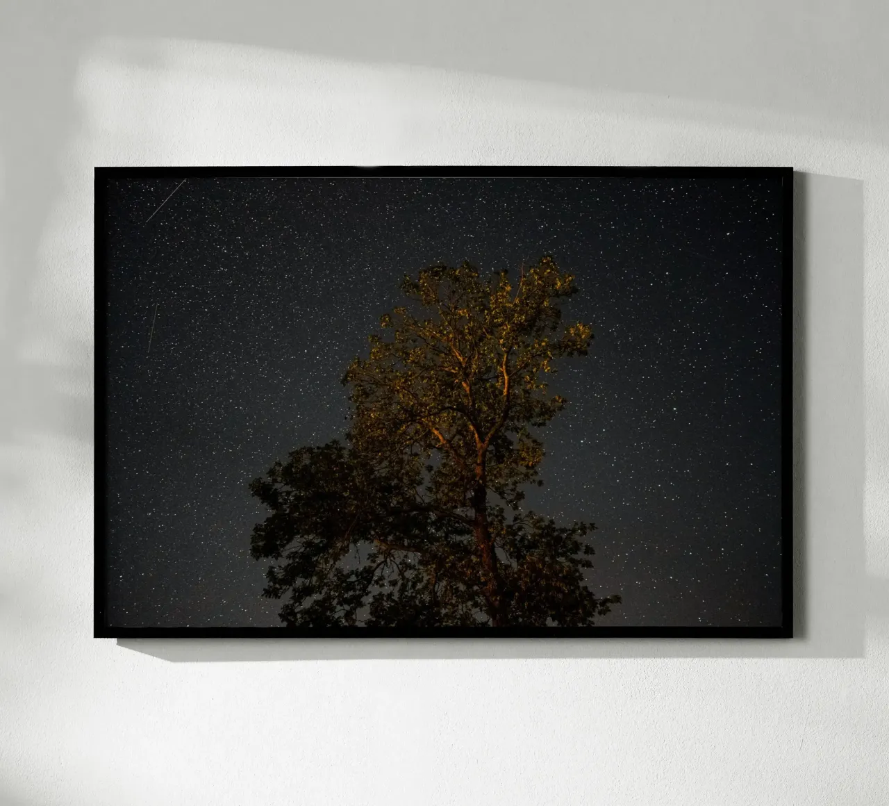 L'ombra dell'albero di notte poster da Earthly Visions