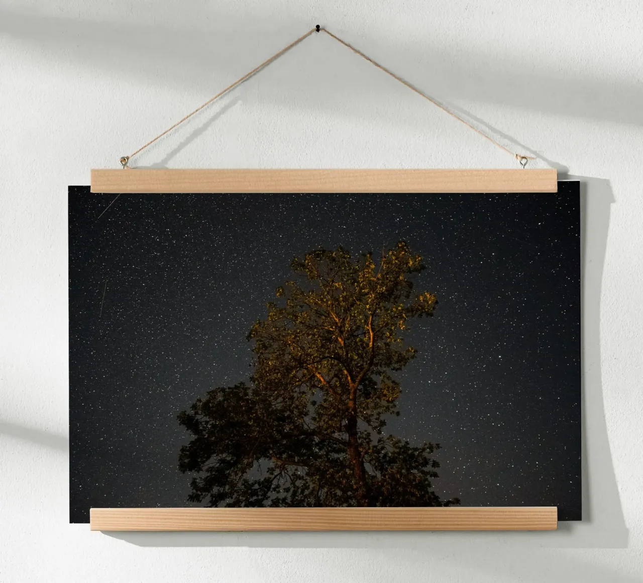 L'ombra dell'albero di notte poster da Earthly Visions