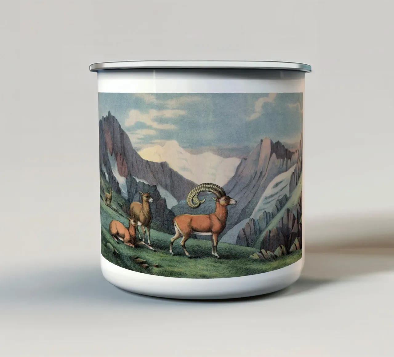 Vintage Kolb 7 Tafel 7 Mouflon tazza in smalto da Vintage Print Collection