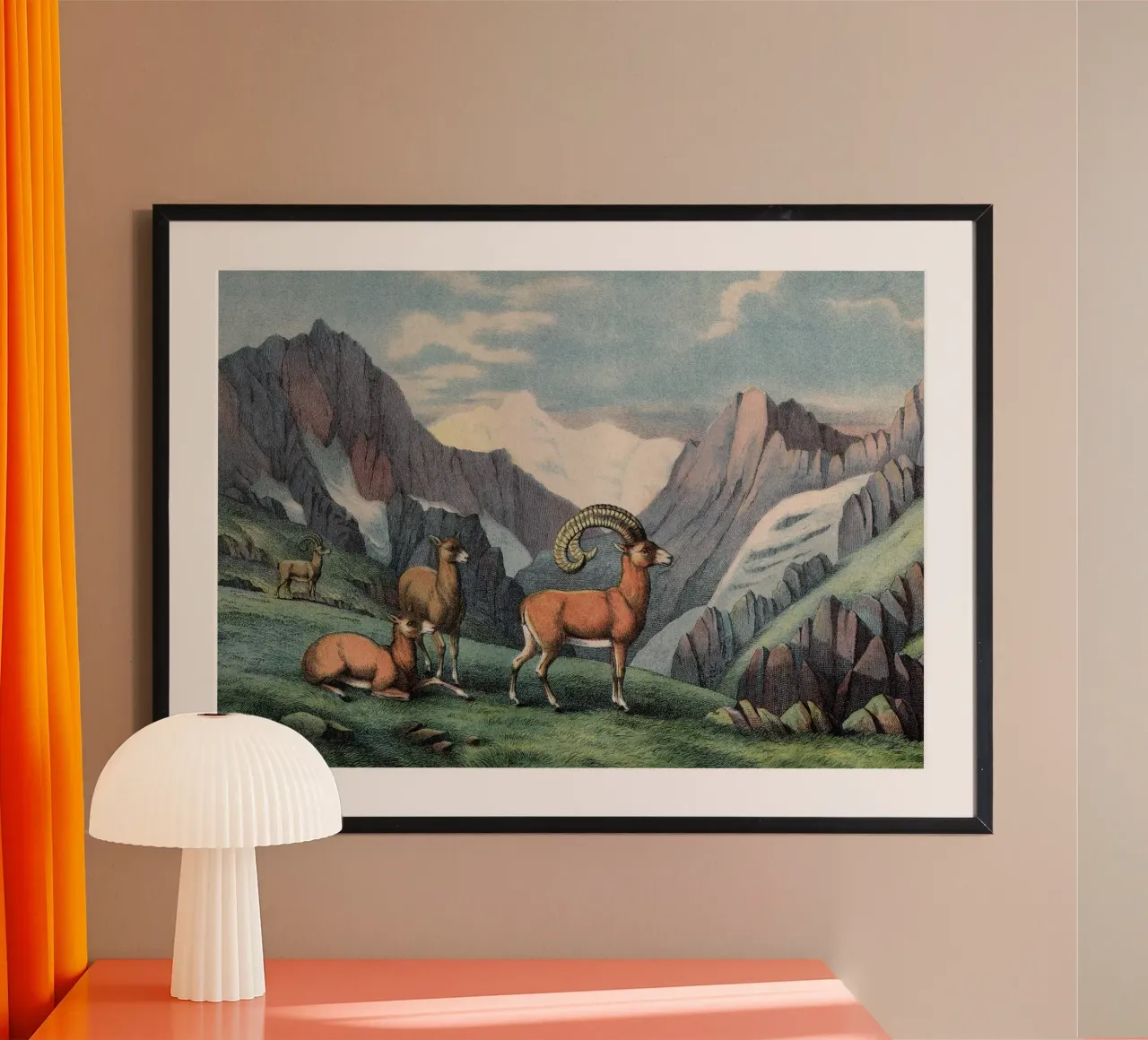 Vintage Kolb 7 Tafel 7 Mouflon poster con telaio in plastica da Vintage Print Collection