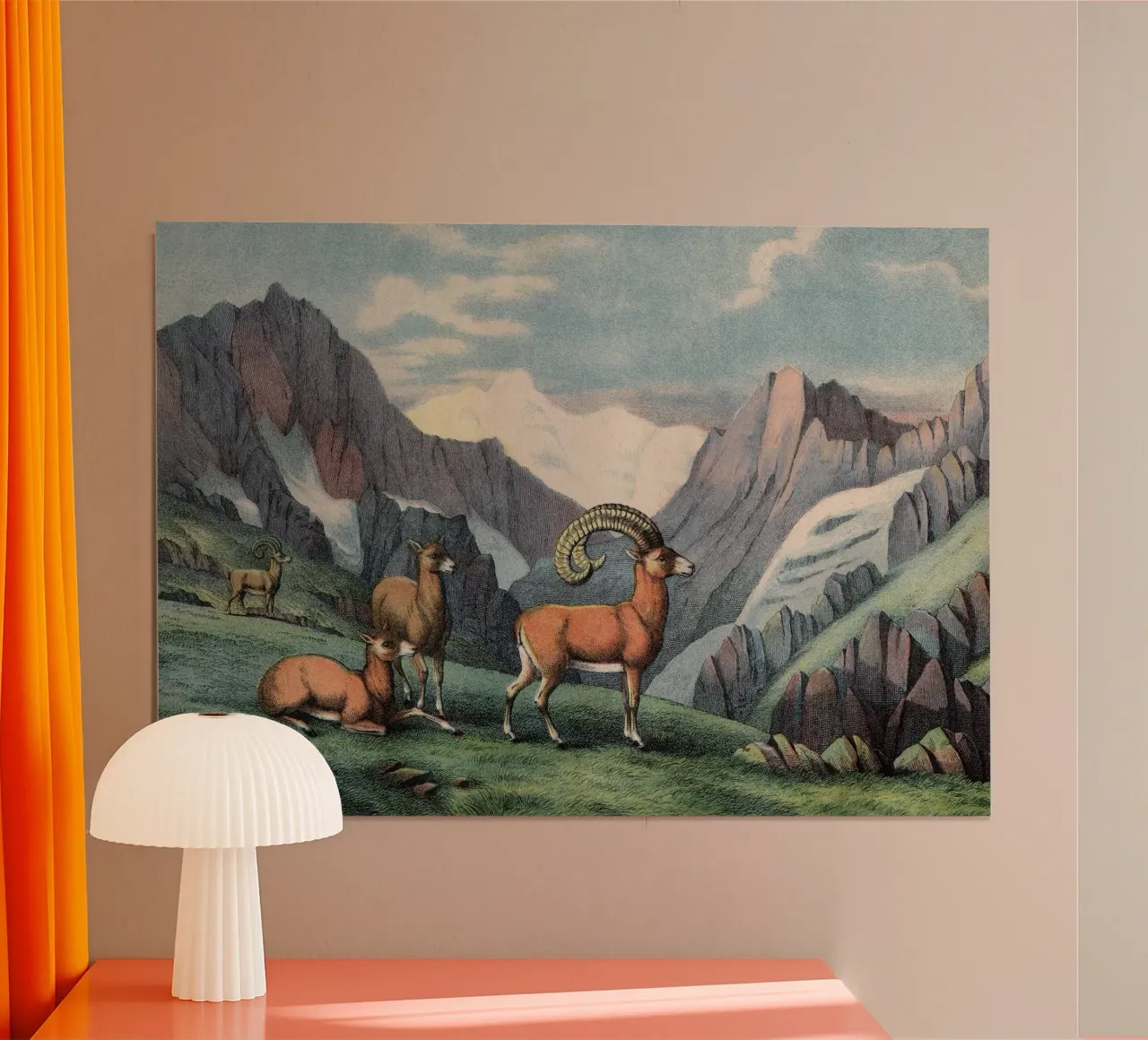 Vintage Kolb 7 Tafel 7 Mouflon poster con telaio in plastica da Vintage Print Collection