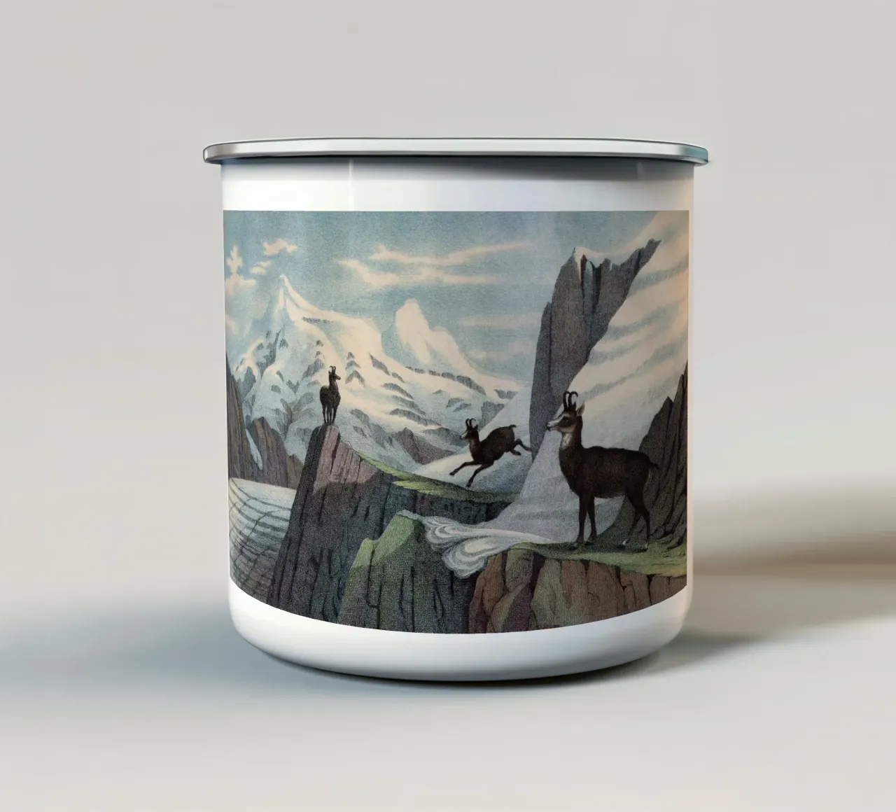 Vintage Kolb 7 Tafel 8 Gemse tazza in smalto da Vintage Print Collection