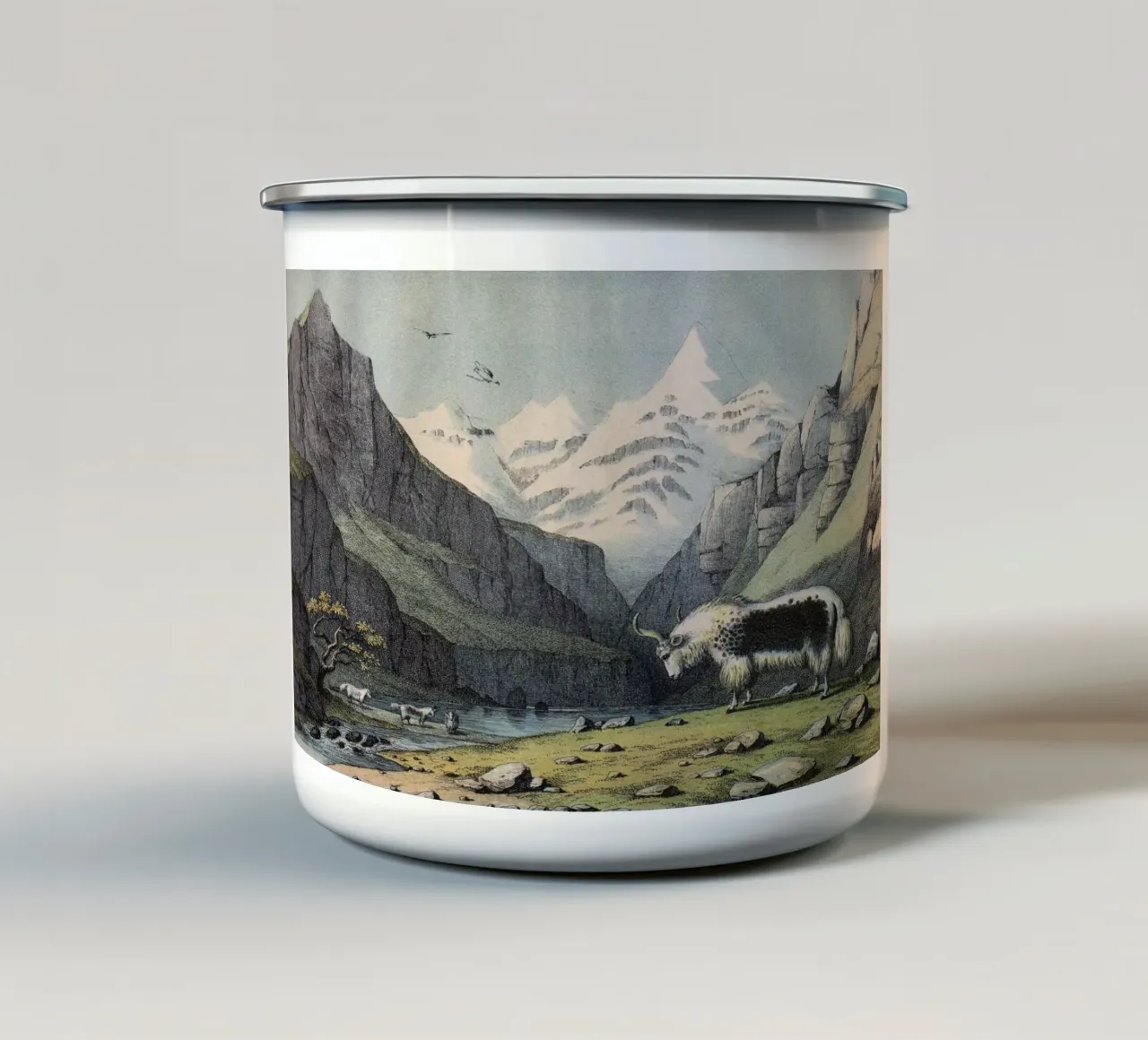 Vintage Kolb 7 Tafel 18 Yak tazza in smalto da Vintage Print Collection