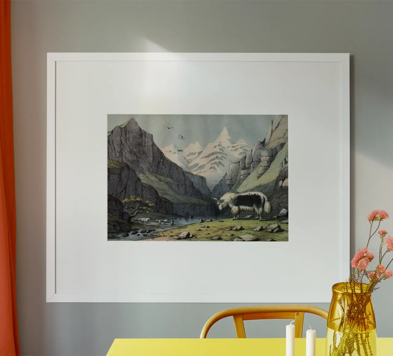 Vintage Kolb 7 Tafel 18 Yak poster con telaio in legno da Vintage Print Collection