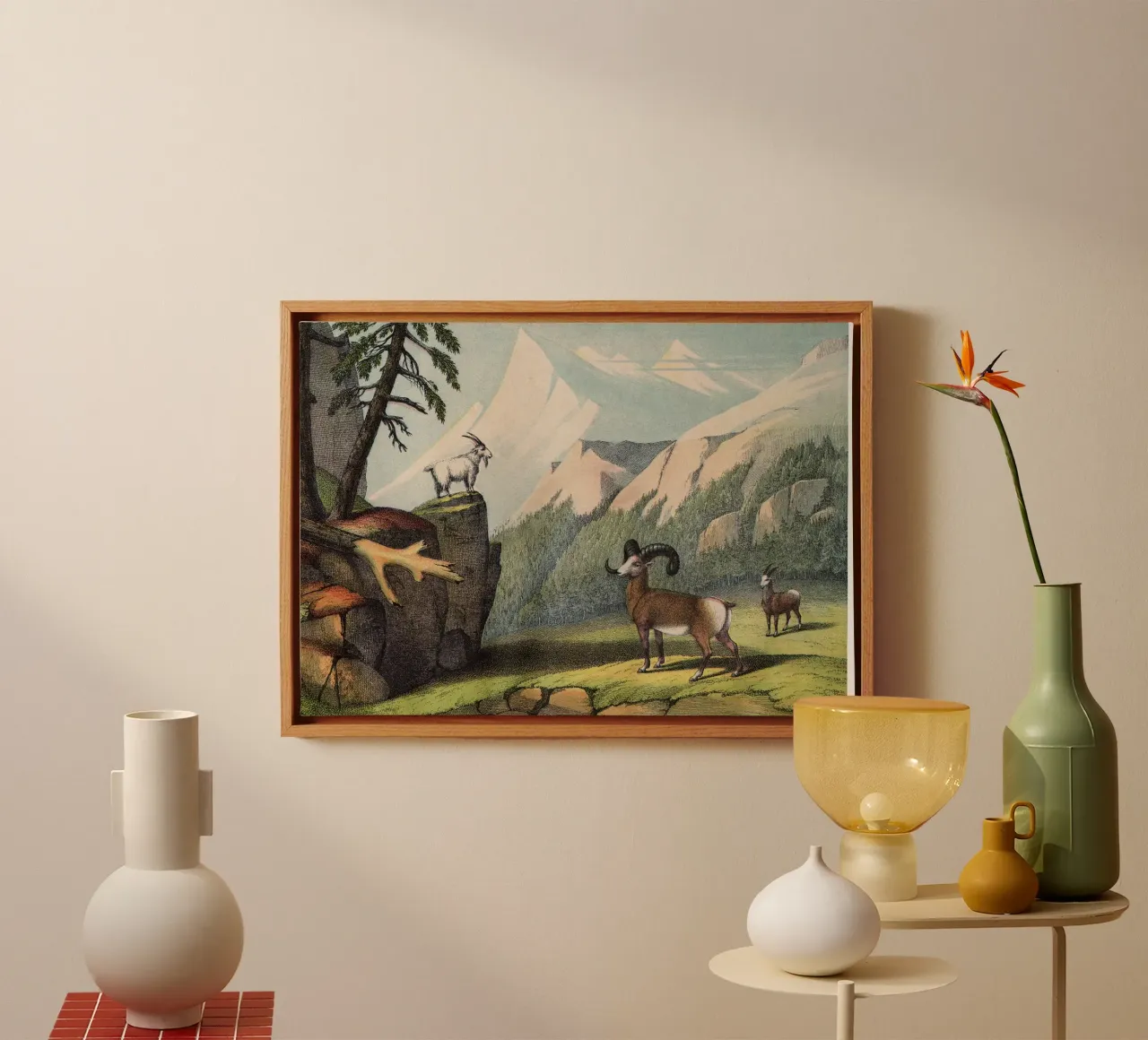 Vintage Kolb 7 Tafel 55 Bergschaf tela con Cornice a cassetta da Vintage Print Collection