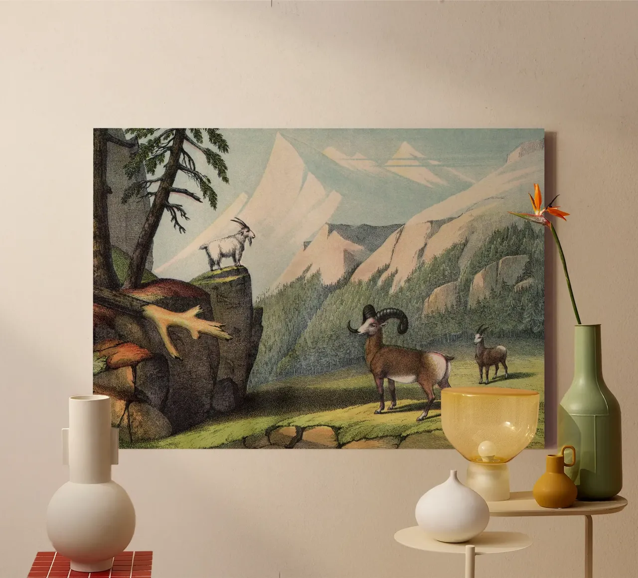 Vintage Kolb 7 Tafel 55 Bergschaf tela con Cornice a cassetta da Vintage Print Collection