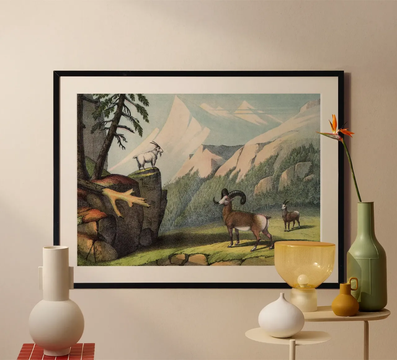 Vintage Kolb 7 Tafel 55 Bergschaf poster con telaio in plastica da Vintage Print Collection