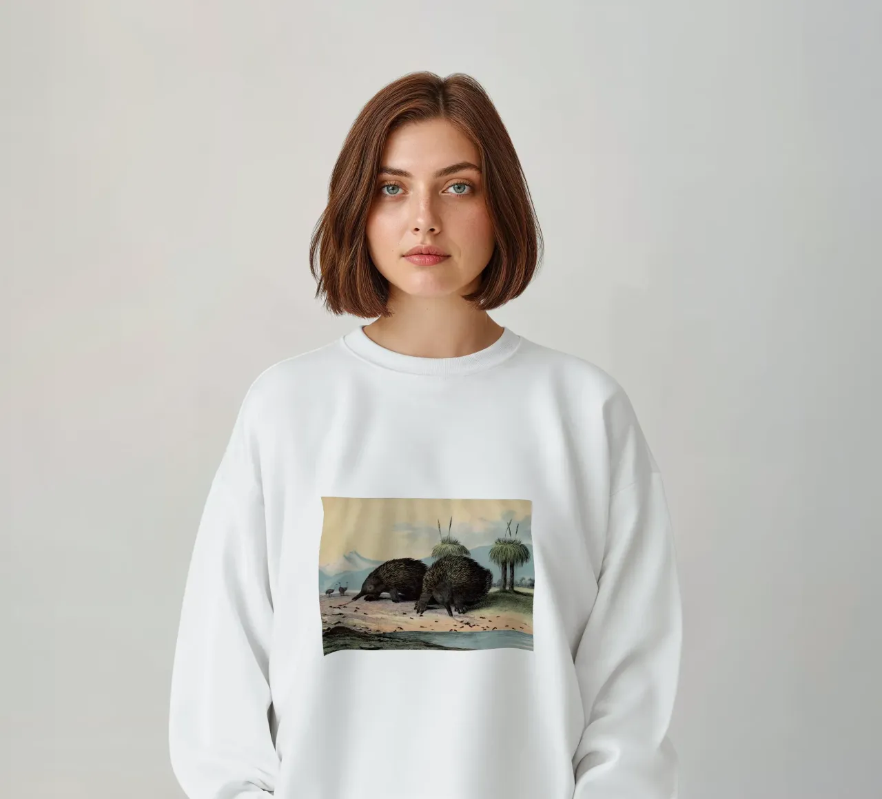 Vintage Kolb 8 Tafel 26 Stacheligel sweatshirt by Vintage Print Collection