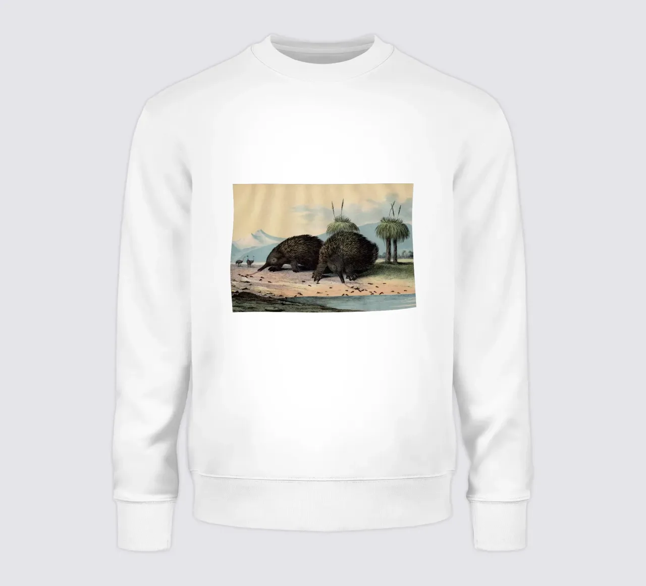 Vintage Kolb 8 Tafel 26 Stacheligel sweatshirt by Vintage Print Collection