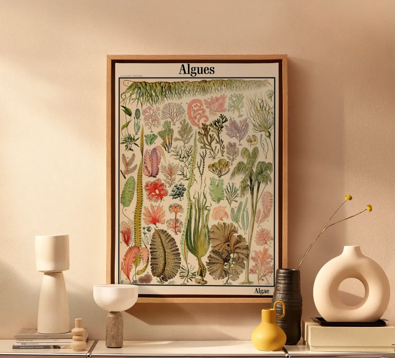 Illustrazione di alghe vintage tela con Cornice a cassetta da Rob Lewis