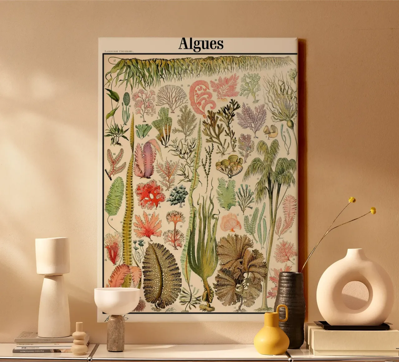Illustrazione di alghe vintage tela con Cornice a cassetta da Rob Lewis