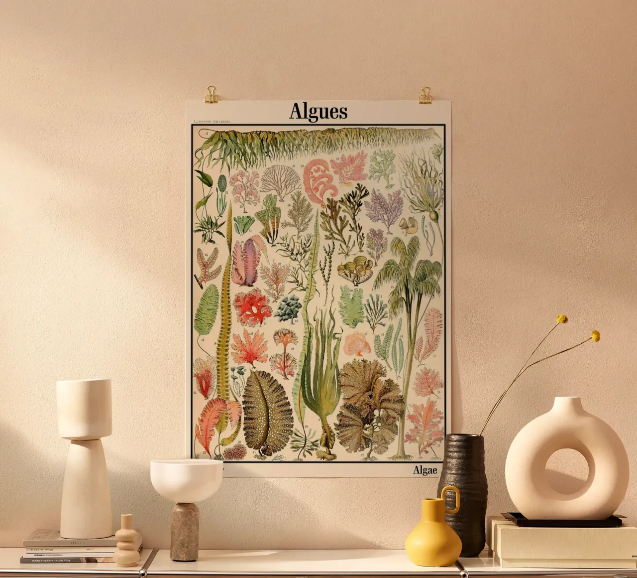Illustrazione di alghe vintage poster con telaio in plastica da Rob Lewis