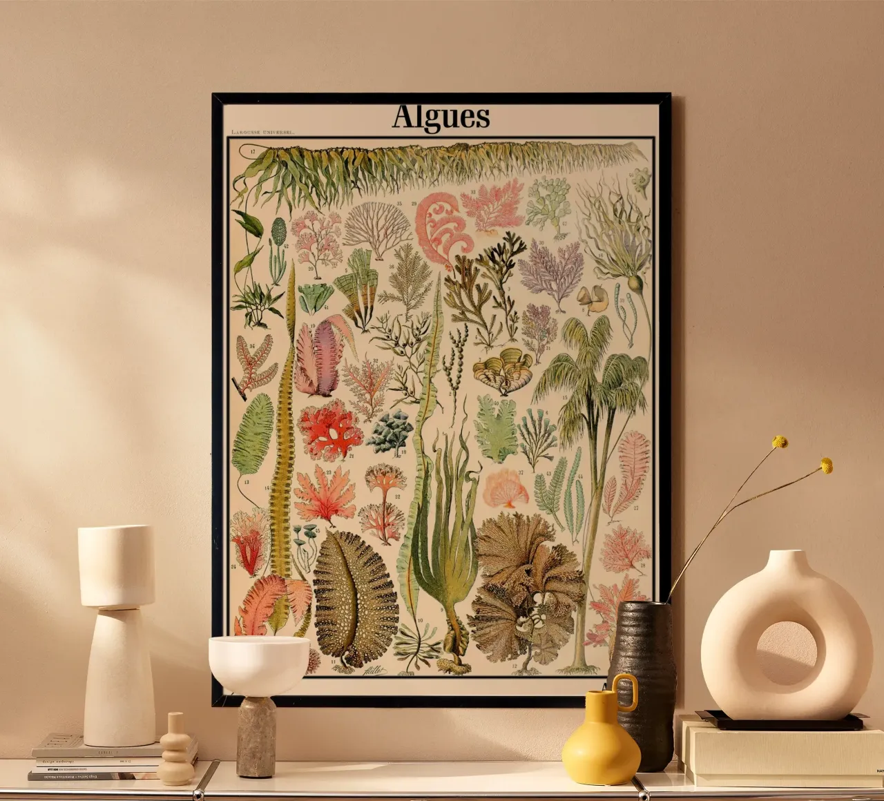 Illustrazione di alghe vintage poster con telaio in plastica da Rob Lewis