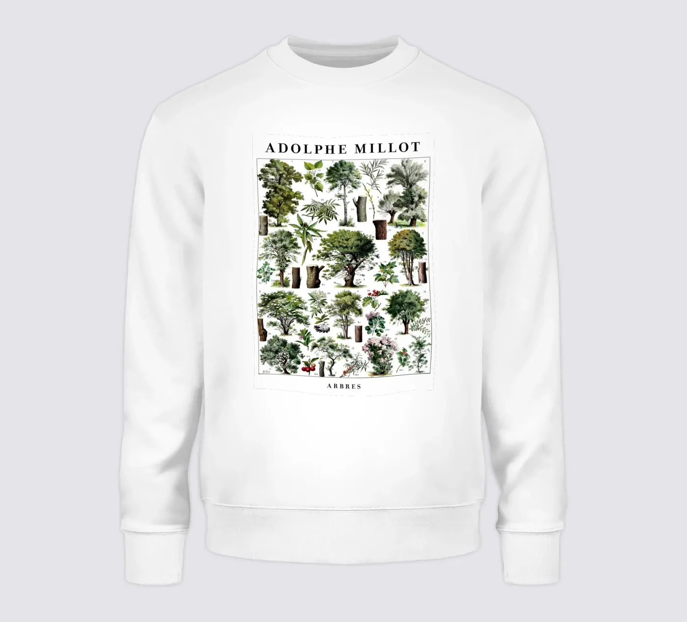 Alberi felpa da Rob Lewis
