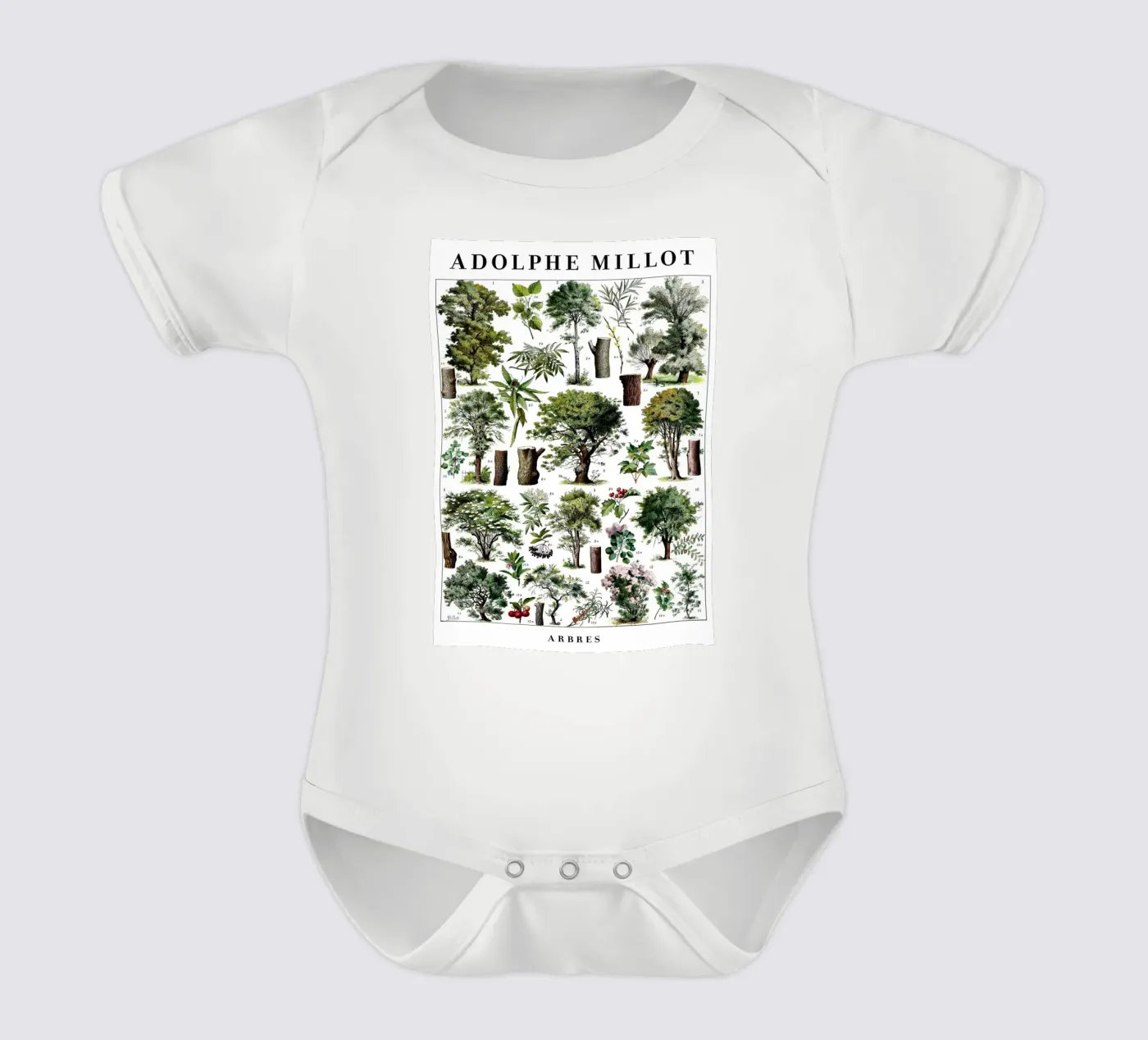 Arbres body bébé de Rob Lewis