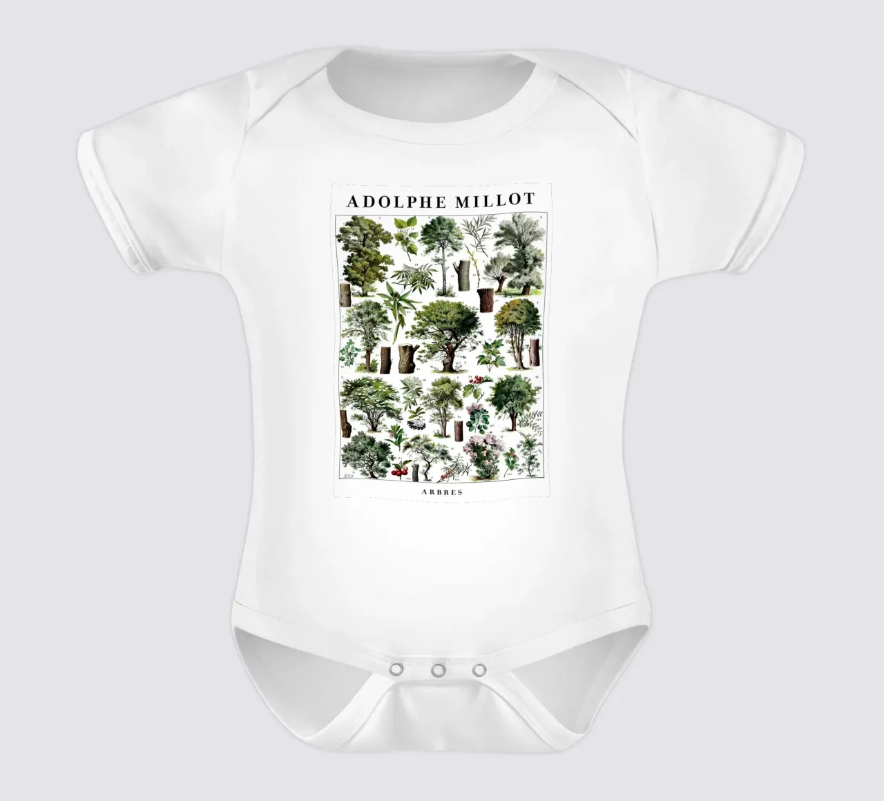 Arbres body bébé de Rob Lewis