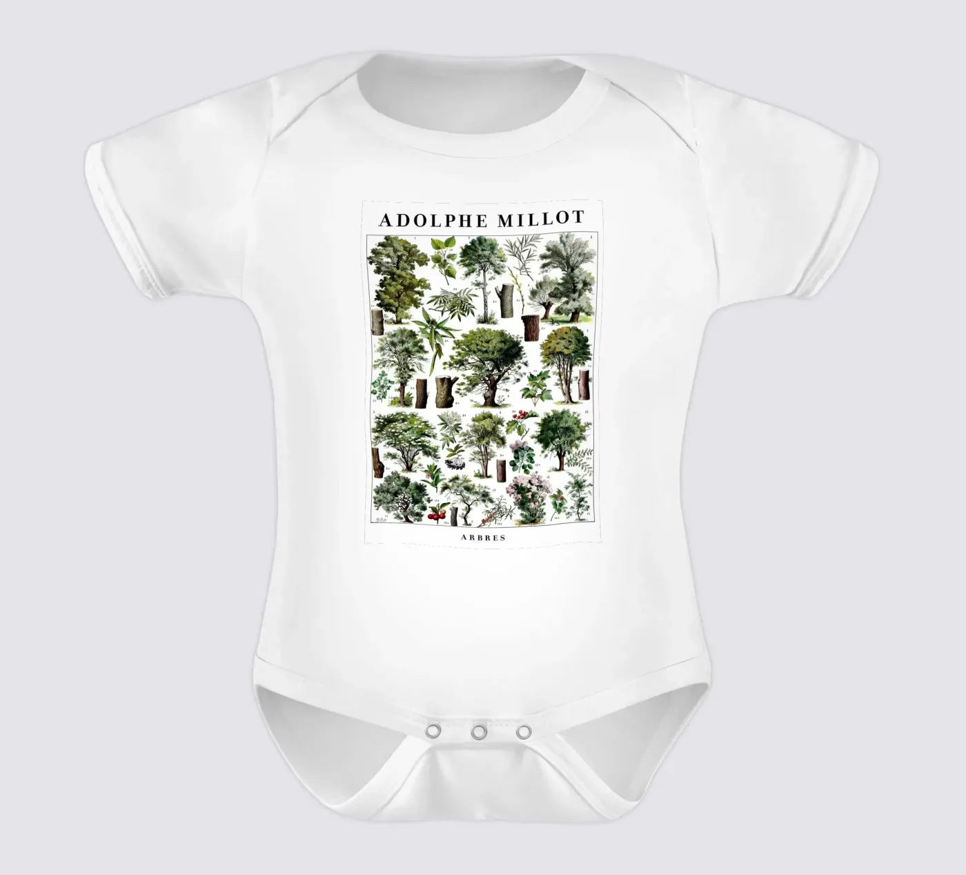 Arbres body bébé de Rob Lewis