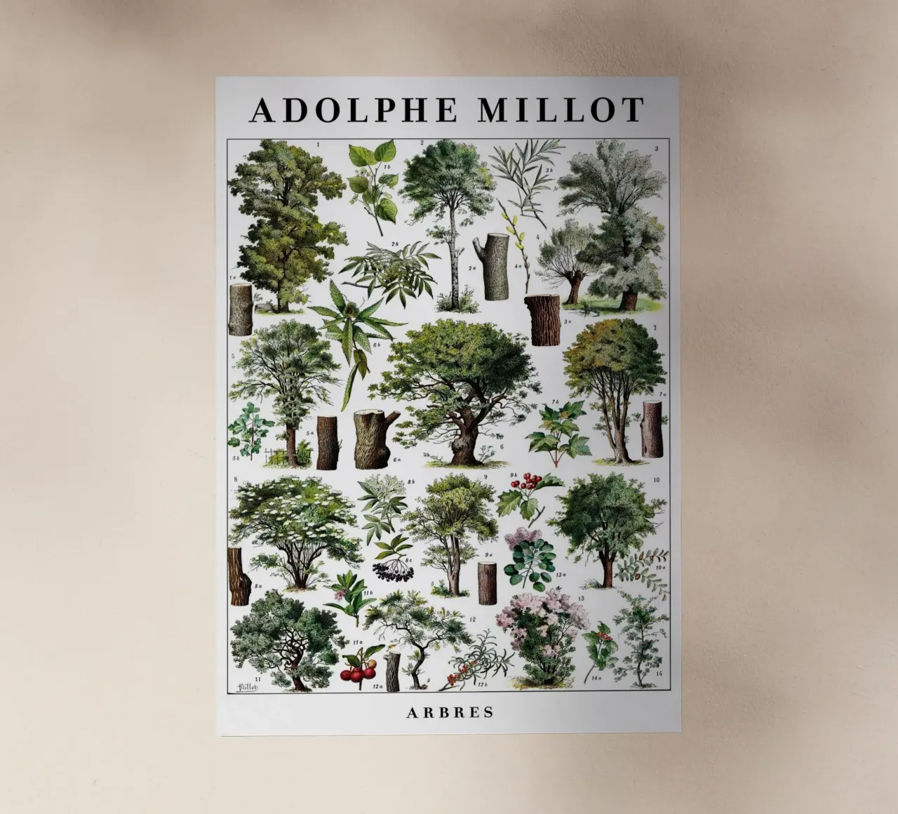 Alberi pellicola backlit da Rob Lewis