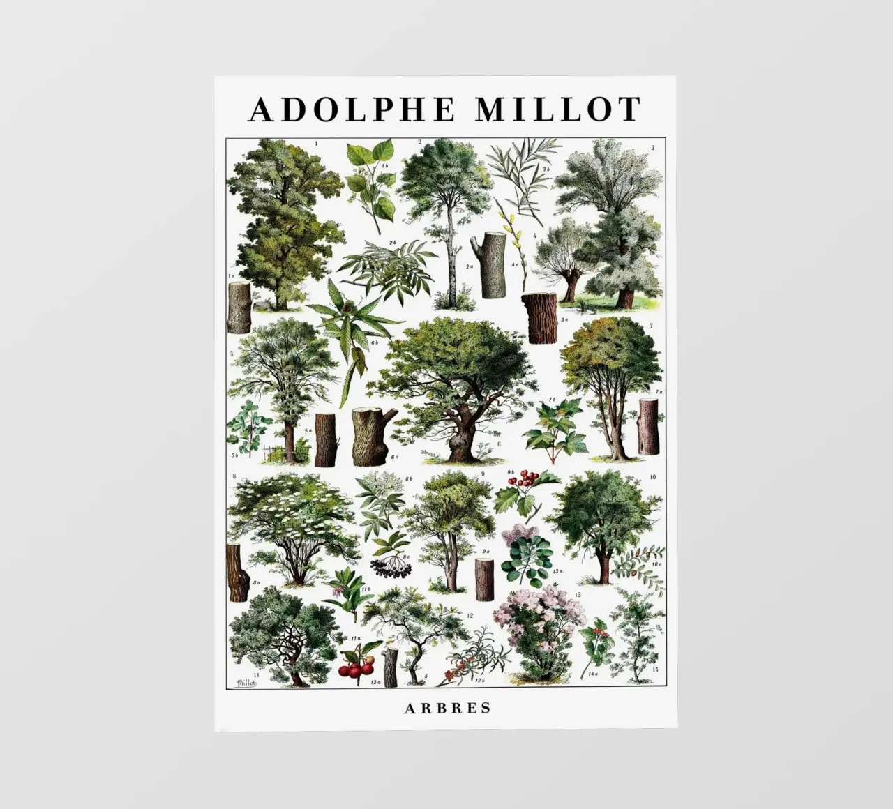 Alberi pellicola backlit da Rob Lewis