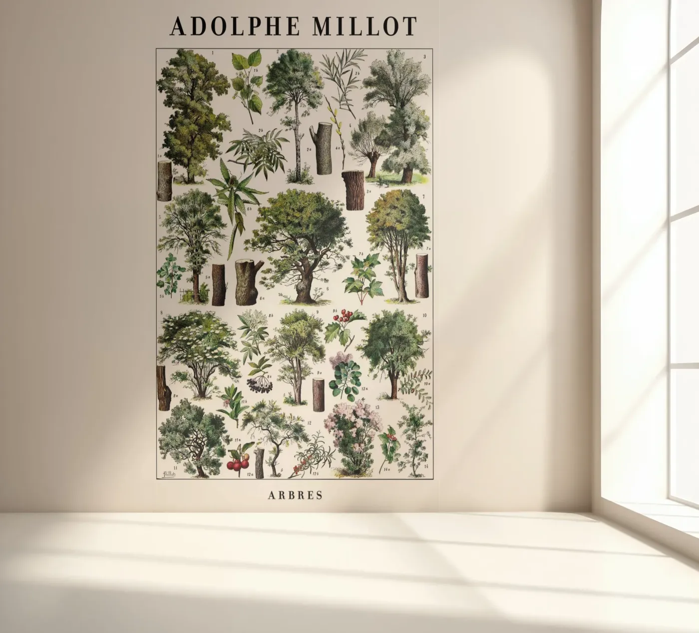 Trees photo wallpaper by Rob Lewis